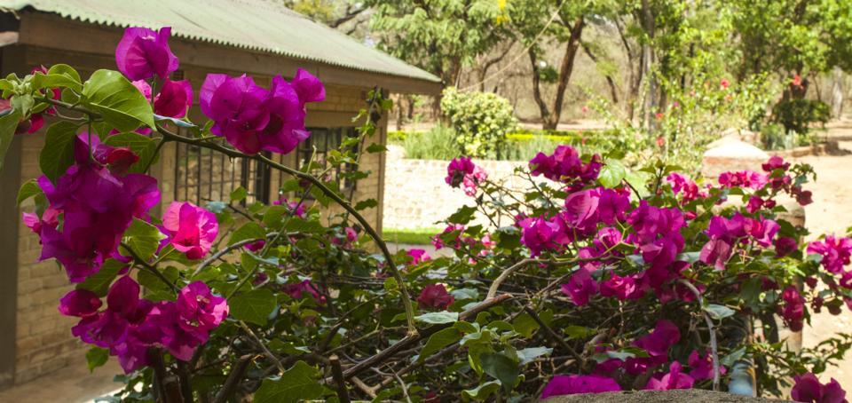 Woodlands Lilongwe Hotel ภายนอก รูปภาพ